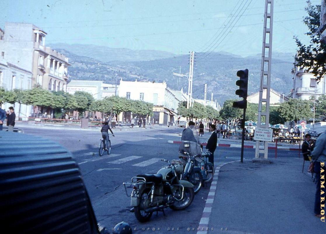 Mas-362- C.jpg